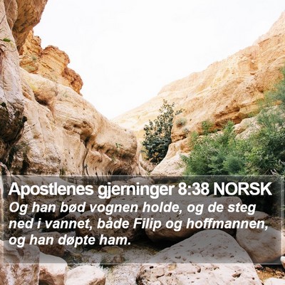 Apostlenes gjerninger 8:38 NORSK Bible Verse Image
