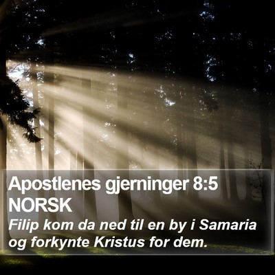 Apostlenes gjerninger 8:5 NORSK Bible Verse Image