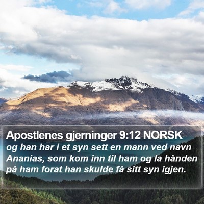 Apostlenes gjerninger 9:12 NORSK Bible Verse Image