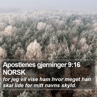 Apostlenes gjerninger 9:16 NORSK Bible Verse Image