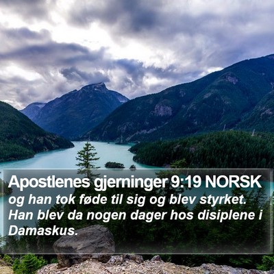 Apostlenes gjerninger 9:19 NORSK Bible Verse Image