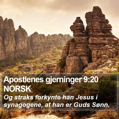 Apostlenes gjerninger 9:20 NORSK Bible Verse Image