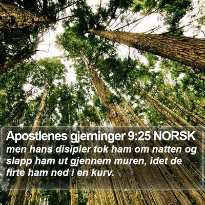 Apostlenes gjerninger 9:25 NORSK Bible Verse Image