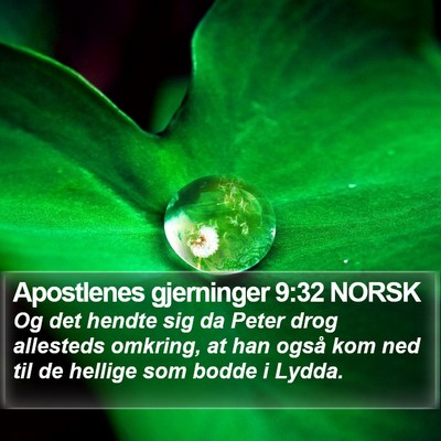 Apostlenes gjerninger 9:32 NORSK Bible Verse Image