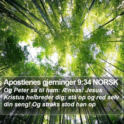 Apostlenes gjerninger 9:34 NORSK Bible Verse Image