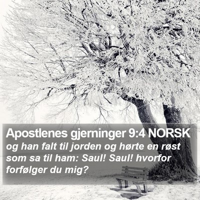 Apostlenes gjerninger 9:4 NORSK Bible Verse Image
