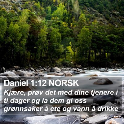 Daniel 1:12 NORSK Bible Verse Image