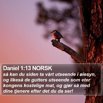 Daniel 1:13 NORSK Bible Verse Image