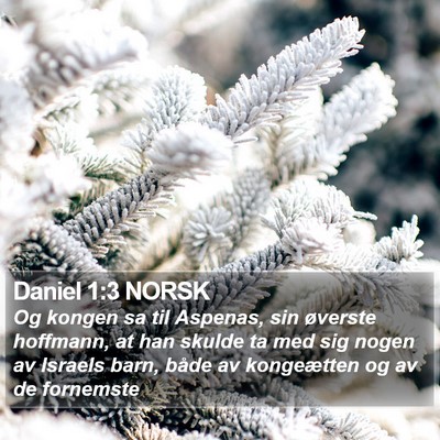 Daniel 1:3 NORSK Bible Verse Image