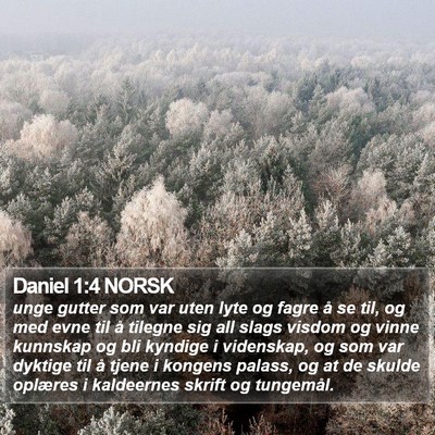 Daniel 1:4 NORSK Bible Verse Image