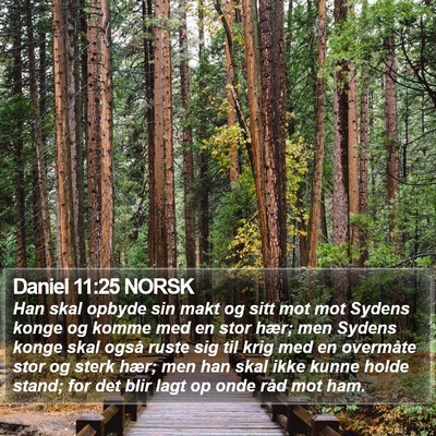 Daniel 11:25 NORSK Bible Verse Image