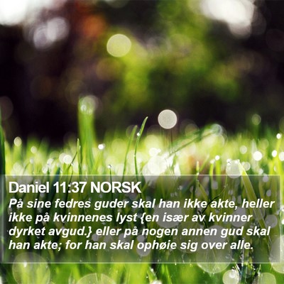 Daniel 11:37 NORSK Bible Verse Image