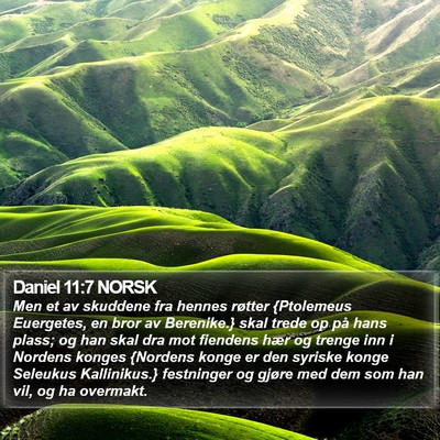 Daniel 11:7 NORSK Bible Verse Image