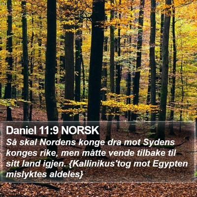 Daniel 11:9 NORSK Bible Verse Image