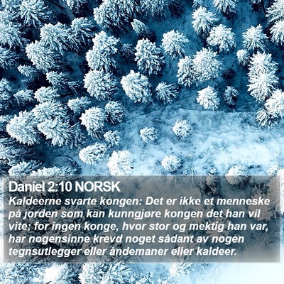 Daniel 2:10 NORSK Bible Verse Image