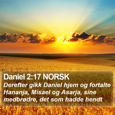 Daniel 2:17 NORSK Bible Verse Image
