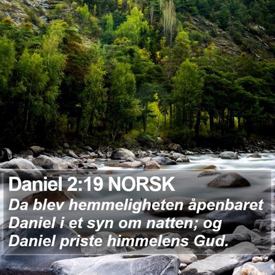 Daniel 2:19 NORSK Bible Verse Image