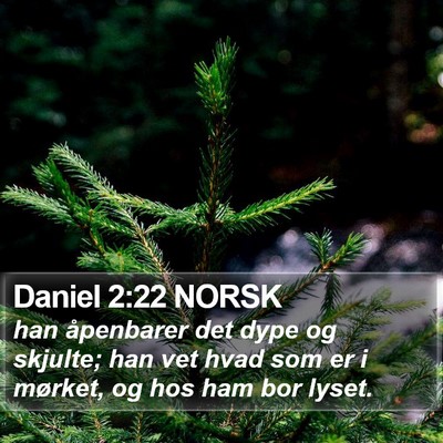 Daniel 2:22 NORSK Bible Verse Image