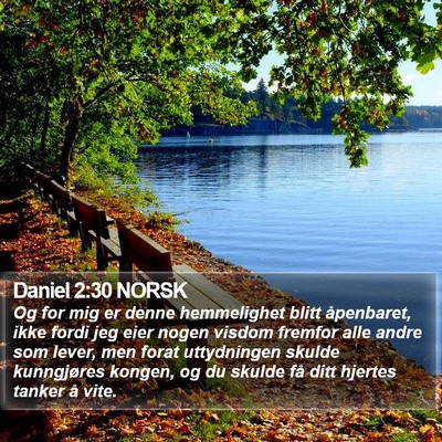 Daniel 2:30 NORSK Bible Verse Image