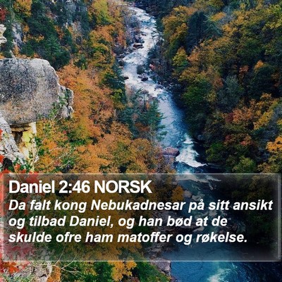 Daniel 2:46 NORSK Bible Verse Image