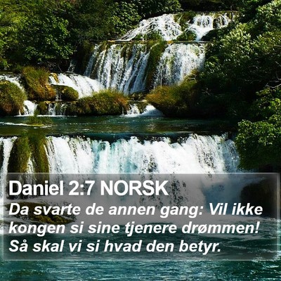 Daniel 2:7 NORSK Bible Verse Image
