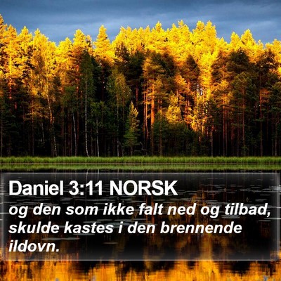 Daniel 3:11 NORSK Bible Verse Image