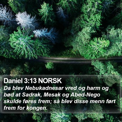 Daniel 3:13 NORSK Bible Verse Image
