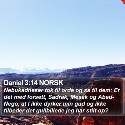 Daniel 3:14 NORSK Bible Verse Image