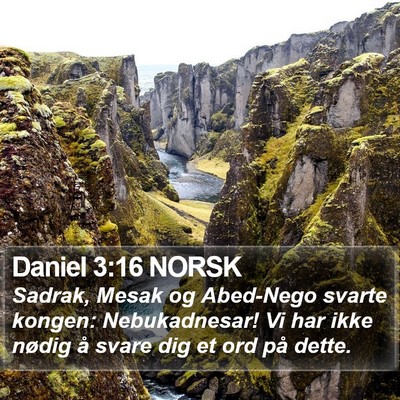 Daniel 3:16 NORSK Bible Verse Image