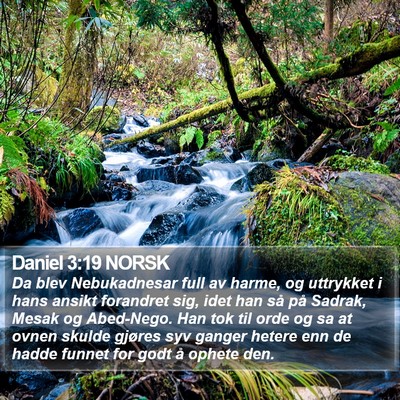 Daniel 3:19 NORSK Bible Verse Image