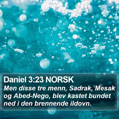 Daniel 3:23 NORSK Bible Verse Image