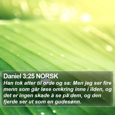 Daniel 3:25 NORSK Bible Verse Image