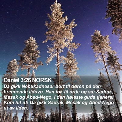 Daniel 3:26 NORSK Bible Verse Image