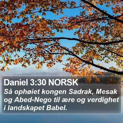 Daniel 3:30 NORSK Bible Verse Image