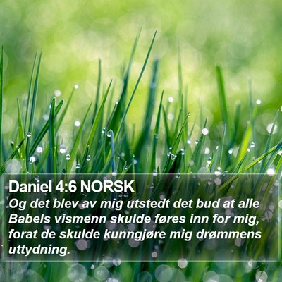 Daniel 4:6 NORSK Bible Verse Image