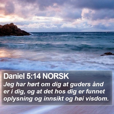 Daniel 5:14 NORSK Bible Verse Image