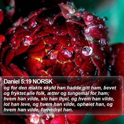 Daniel 5:19 NORSK Bible Verse Image