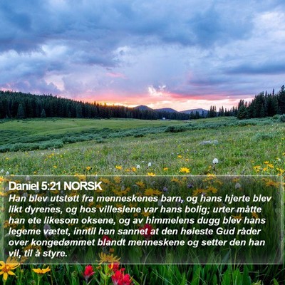 Daniel 5:21 NORSK Bible Verse Image