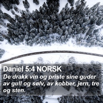 Daniel 5:4 NORSK Bible Verse Image