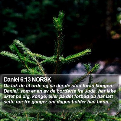 Daniel 6:13 NORSK Bible Verse Image
