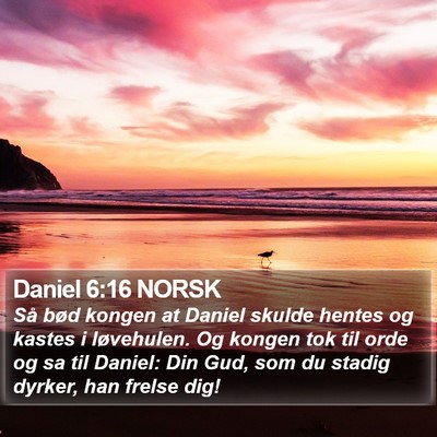 Daniel 6:16 NORSK Bible Verse Image