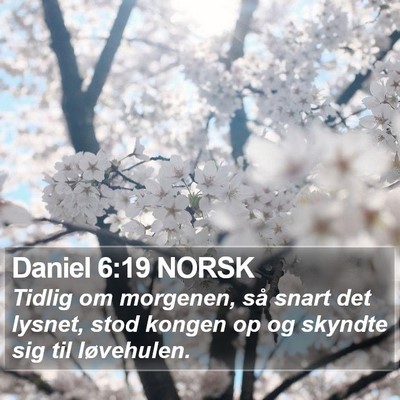 Daniel 6:19 NORSK Bible Verse Image