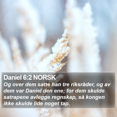 Daniel 6:2 NORSK Bible Verse Image