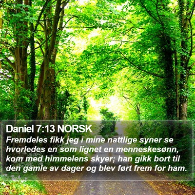 Daniel 7:13 NORSK Bible Verse Image