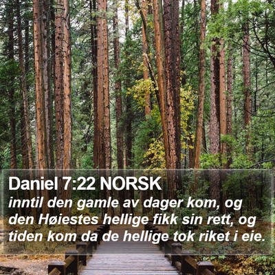 Daniel 7:22 NORSK Bible Verse Image