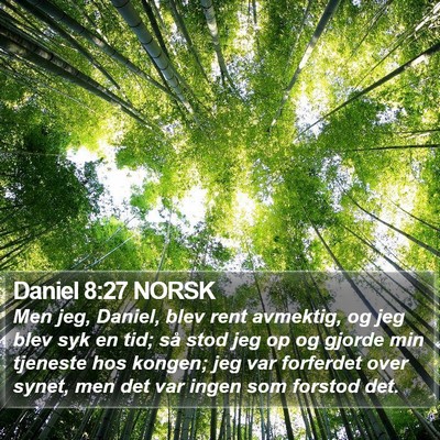 Daniel 8:27 NORSK Bible Verse Image