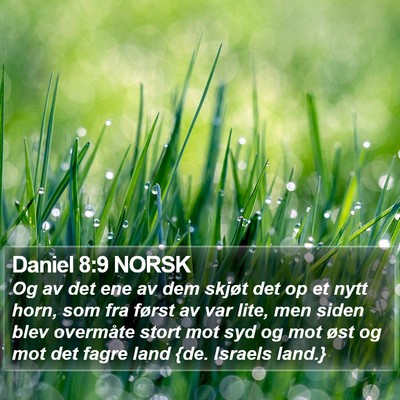 Daniel 8:9 NORSK Bible Verse Image