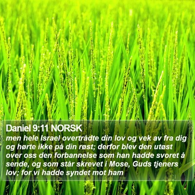 Daniel 9:11 NORSK Bible Verse Image
