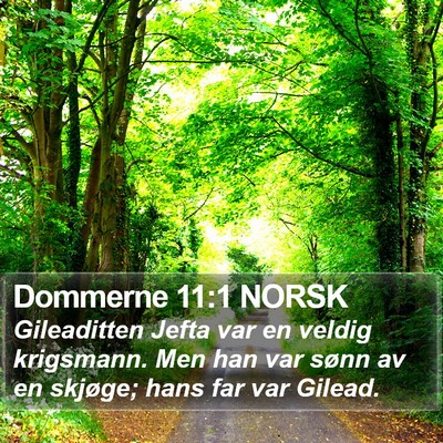 Dommerne 11:1 NORSK Bible Verse Image