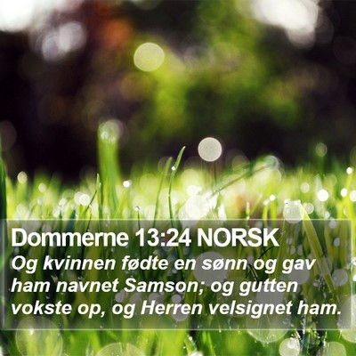 Dommerne 13:24 NORSK Bible Verse Image
